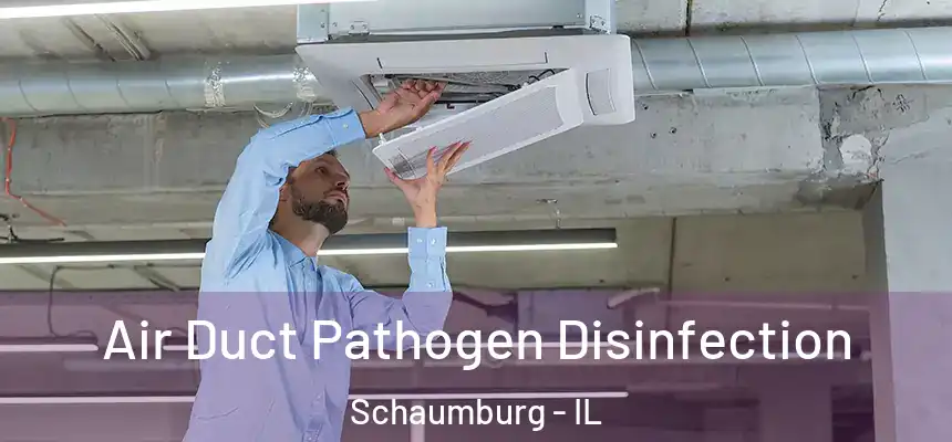  Air Duct Pathogen Disinfection Schaumburg - IL