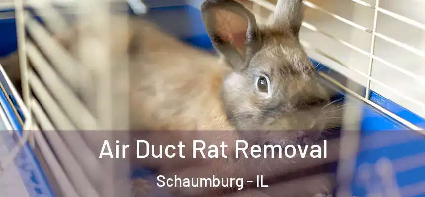 Air Duct Rat Removal Schaumburg - IL