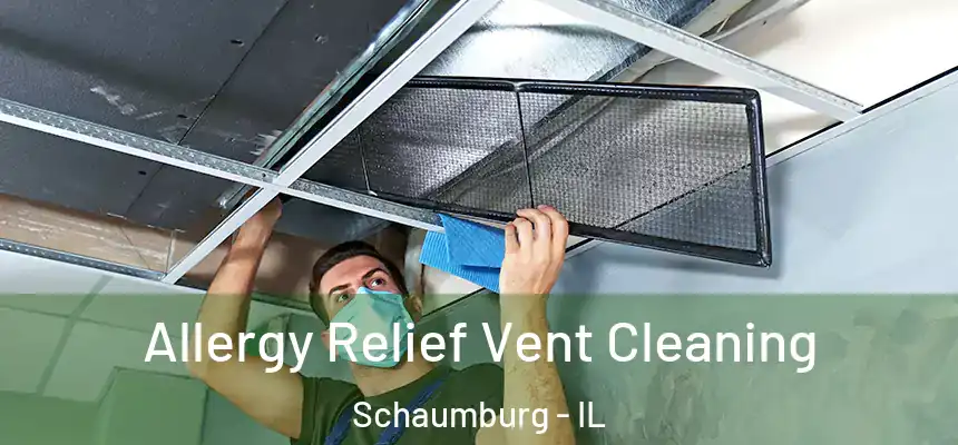  Allergy Relief Vent Cleaning Schaumburg - IL