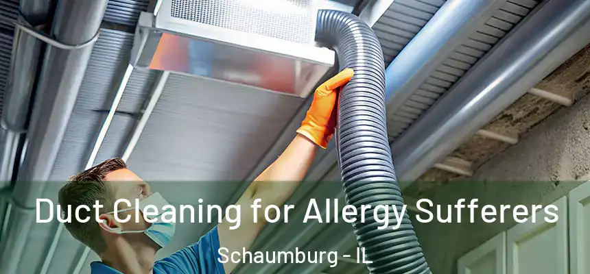 Duct Cleaning for Allergy Sufferers Schaumburg - IL