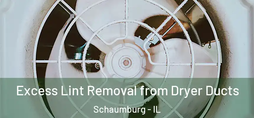 Excess Lint Removal from Dryer Ducts Schaumburg - IL