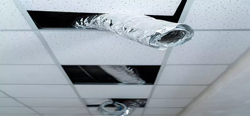 Our Air Duct Pet Hair Removal Services in Schaumburg, IL