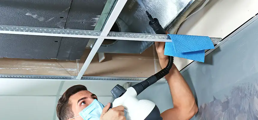 Our Air Duct Rodent Removal Services in Schaumburg, IL