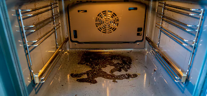 Our Dryer Vent Mold Cleaning Services in Schaumburg, IL