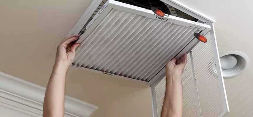 Our Insect Removal from Air Ducts Services in Schaumburg, IL