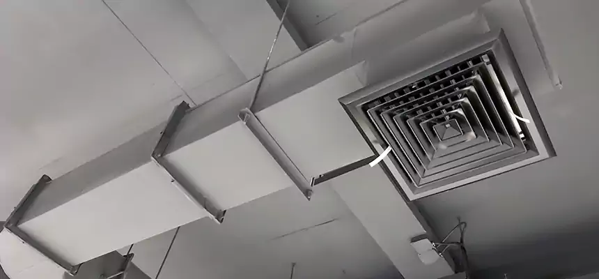 Our Pest Removal From Ducts Services in Schaumburg, IL