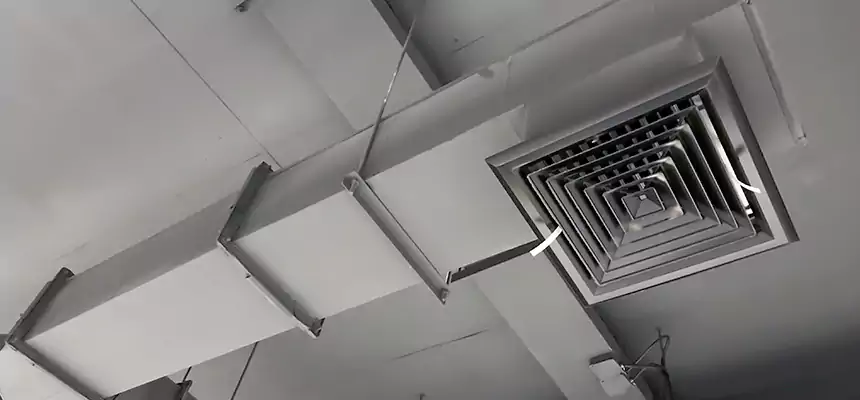 Our Rodent Droppings In Vents Services in Schaumburg, IL