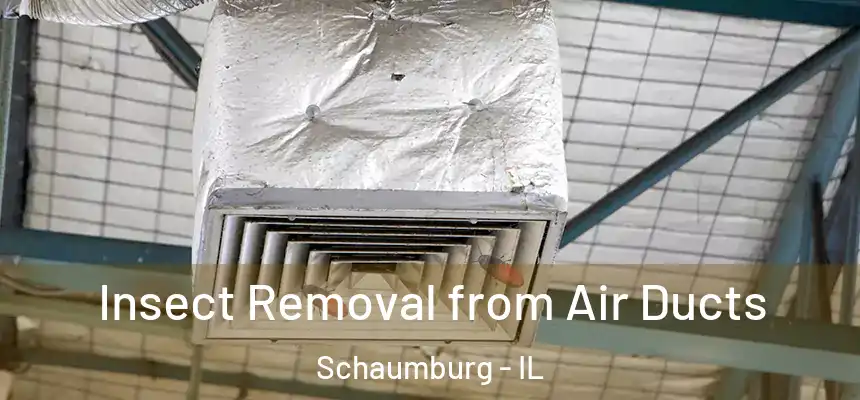  Insect Removal from Air Ducts Schaumburg - IL