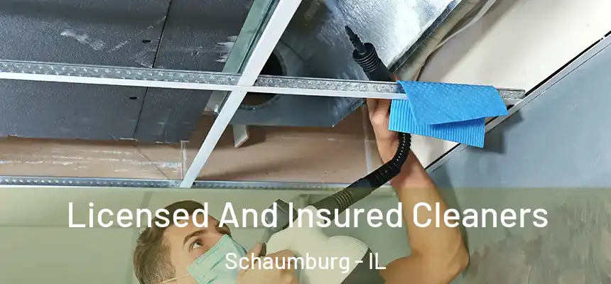  Licensed And Insured Cleaners Schaumburg - IL