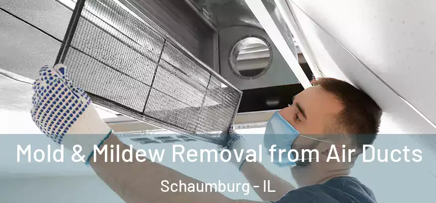  Mold & Mildew Removal from Air Ducts Schaumburg - IL