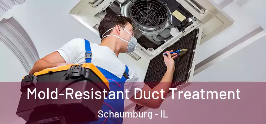  Mold-Resistant Duct Treatment Schaumburg - IL