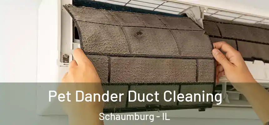  Pet Dander Duct Cleaning Schaumburg - IL