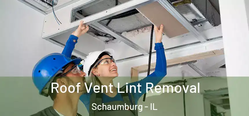  Roof Vent Lint Removal Schaumburg - IL