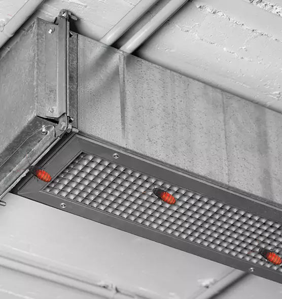 About Air Duct Cockroach Removal in Schaumburg, IL
