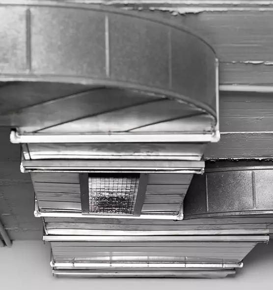 Professional Air Duct Pet Hair Removal in Schaumburg, IL