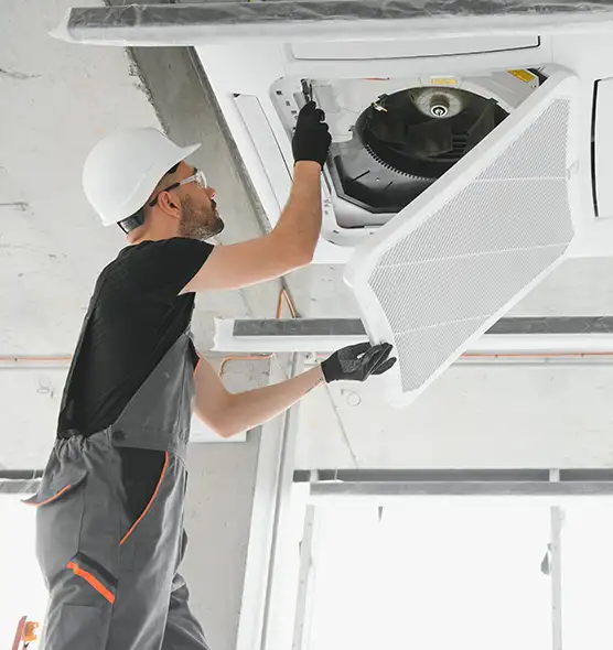 About Air Duct Rodent Removal in Schaumburg, IL