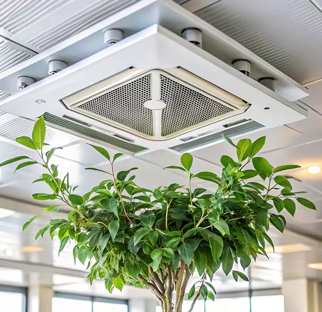 Why Homeowners & Businesses Trust Us in Schaumburg, IL