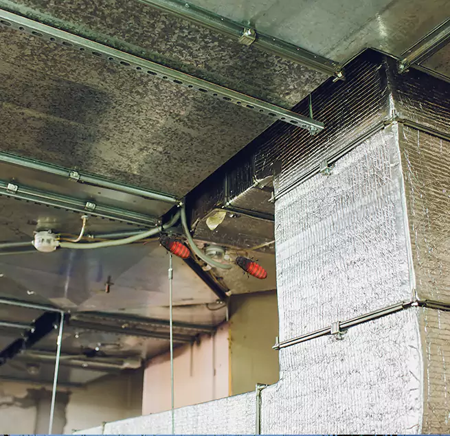 Why Homeowners & Businesses Trust Us Schaumburg, IL?