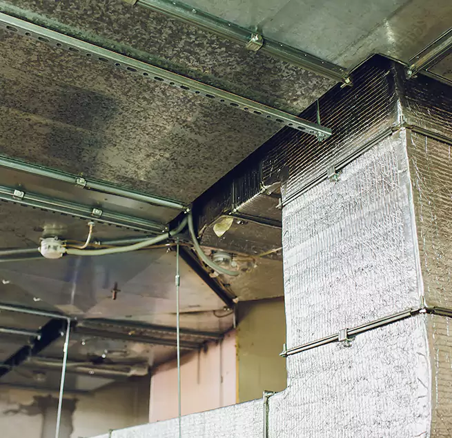 Why Homeowners & Businesses Trust Us in Schaumburg, IL?